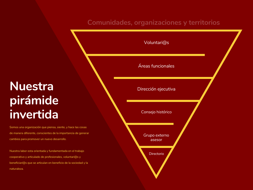 Piramide invertida FUDESO (1)